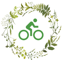 VTT