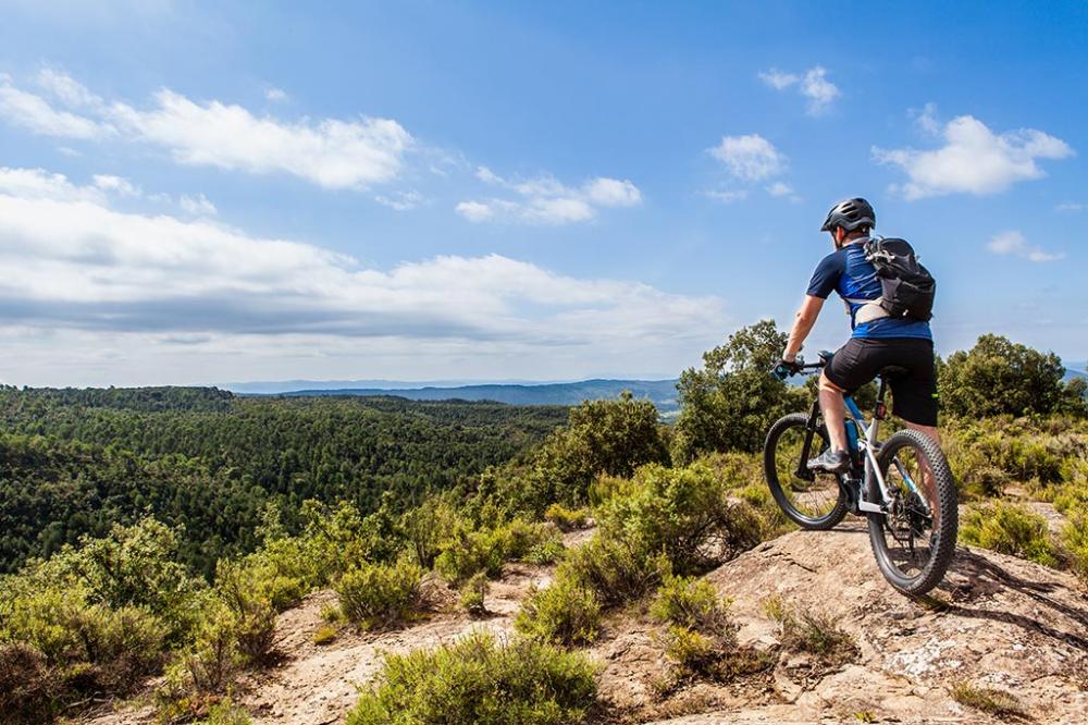 Location-de-VTT