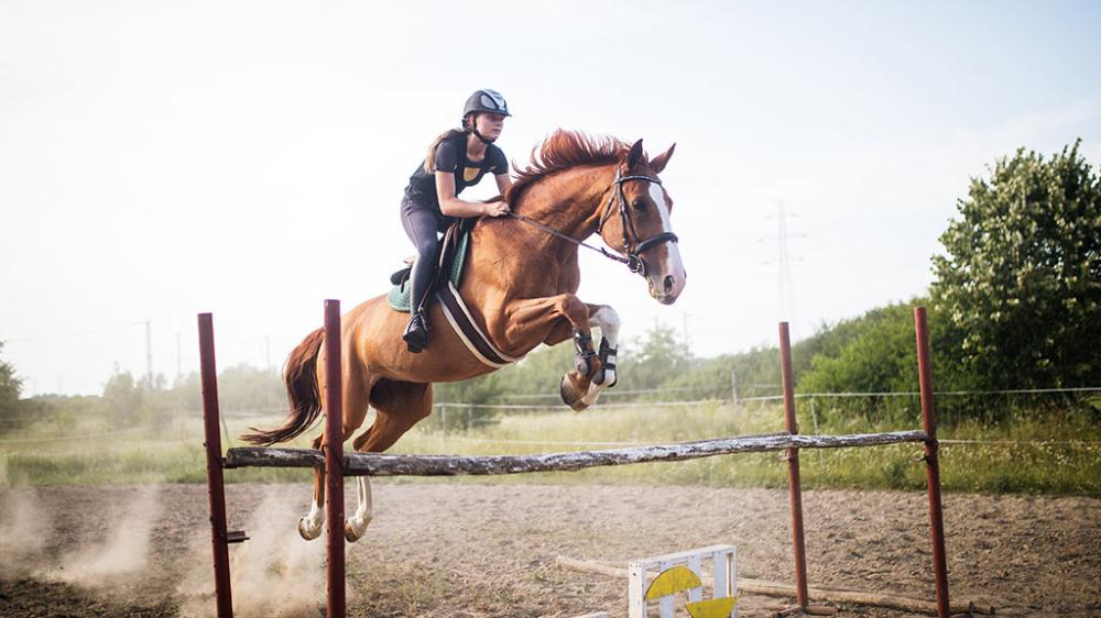 Equitation
